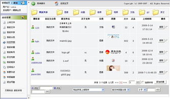 天照科技 上海網(wǎng)站建設(shè)與軟件設(shè)計(jì)的一站式解決方案